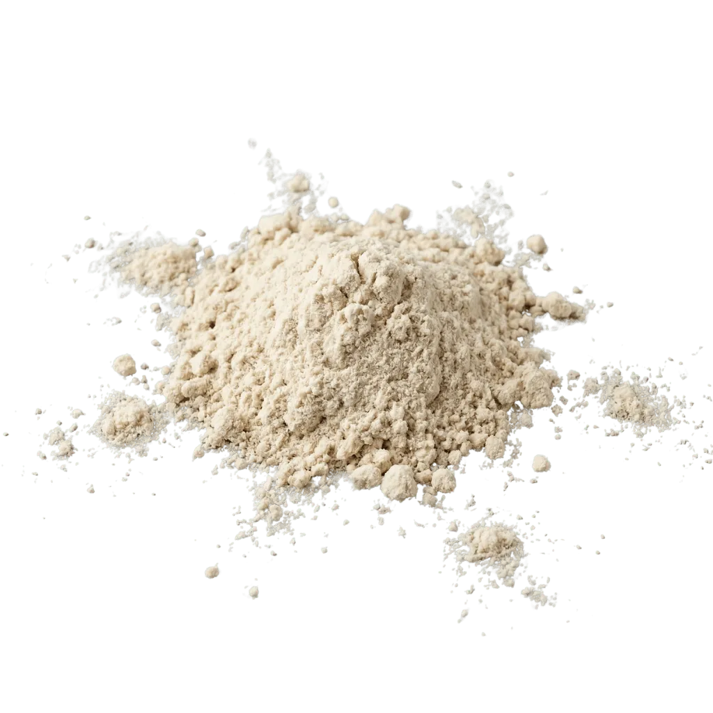 Rice Protein Isolate